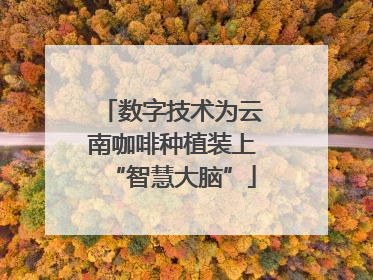 数字技术为云南咖啡种植装上“智慧大脑”