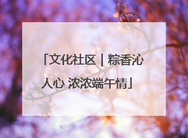 文化社区｜粽香沁人心 浓浓端午情