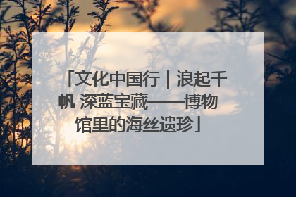 文化中国行｜浪起千帆 深蓝宝藏——博物馆里的海丝遗珍