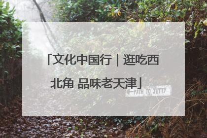 文化中国行｜逛吃西北角 品味老天津