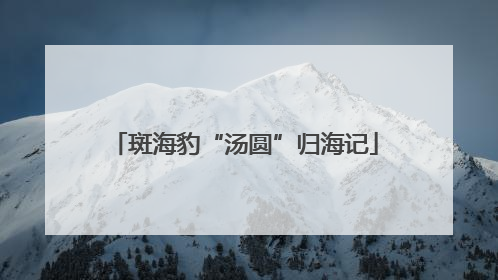 斑海豹“汤圆”归海记