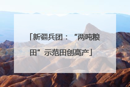 新疆兵团：“两吨粮田”示范田创高产