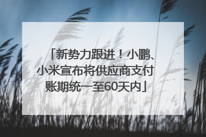 新势力跟进！小鹏、小米宣布将供应商支付账期统一至60天内