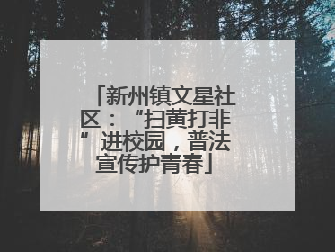 新州镇文星社区：“扫黄打非”进校园，普法宣传护青春