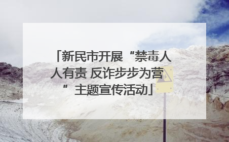 新民市开展“禁毒人人有责 反诈步步为营”主题宣传活动