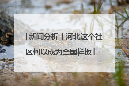 新闻分析丨河北这个社区何以成为全国样板