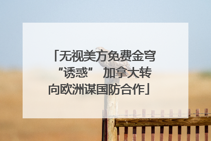 无视美方免费金穹“诱惑” 加拿大转向欧洲谋国防合作