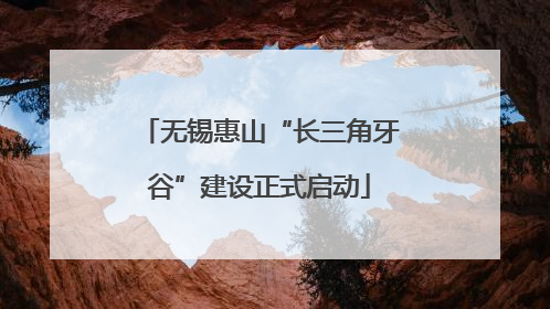 无锡惠山“长三角牙谷”建设正式启动