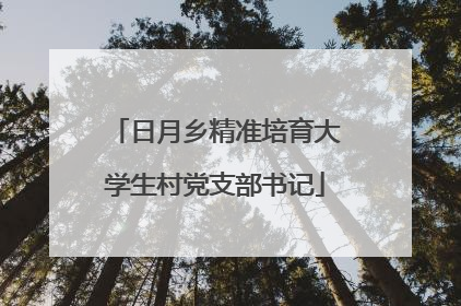 日月乡精准培育大学生村党支部书记