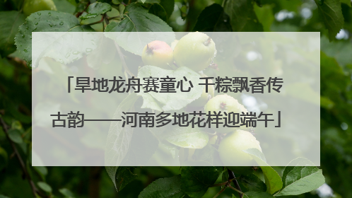 旱地龙舟赛童心 千粽飘香传古韵——河南多地花样迎端午