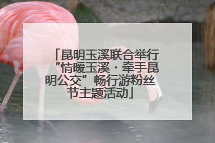 昆明玉溪联合举行“情暖玉溪・牵手昆明公交”畅行游粉丝节主题活动