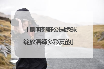 昆明郊野公园绣球绽放演绎多彩夏韵