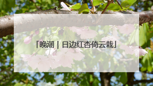 晚潮｜日边红杏倚云栽
