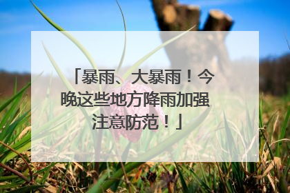 暴雨、大暴雨！今晚这些地方降雨加强 注意防范！
