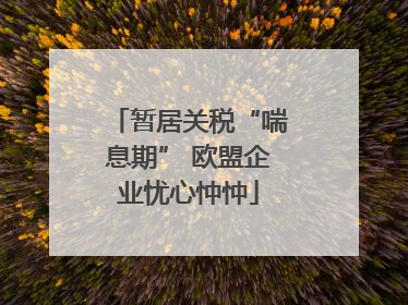 暂居关税“喘息期” 欧盟企业忧心忡忡
