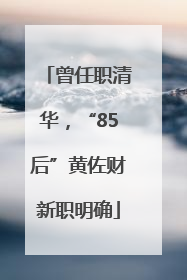 曾任职清华，“85后”黄佐财新职明确