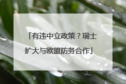 有违中立政策？瑞士扩大与欧盟防务合作