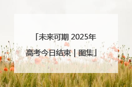 未来可期 2025年高考今日结束｜图集