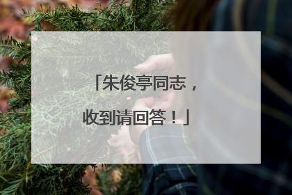 朱俊亭同志，收到请回答！