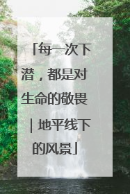 每一次下潜，都是对生命的敬畏｜地平线下的风景