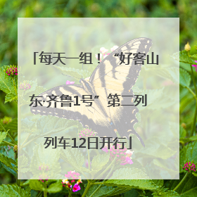 每天一组！“好客山东·齐鲁1号”第二列列车12日开行