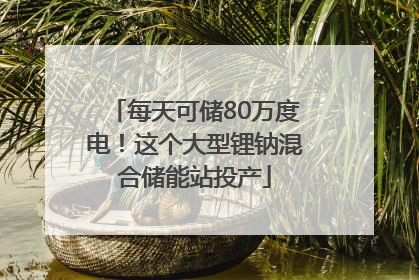 每天可储80万度电！这个大型锂钠混合储能站投产