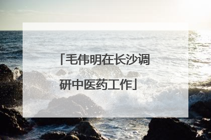 毛伟明在长沙调研中医药工作