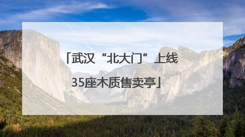 武汉“北大门”上线35座木质售卖亭