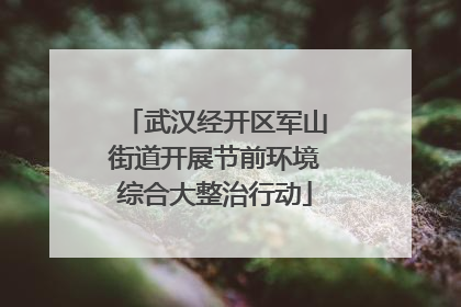 武汉经开区军山街道开展节前环境综合大整治行动