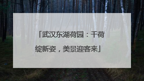 武汉东湖荷园：千荷绽新姿，美景迎客来