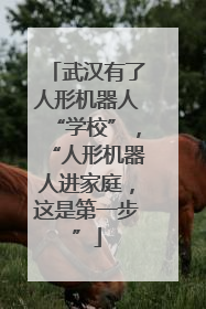 武汉有了人形机器人“学校”，“人形机器人进家庭，这是第一步”