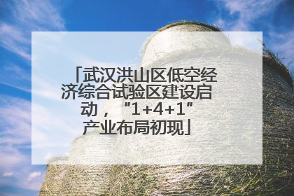 武汉洪山区低空经济综合试验区建设启动，“1+4+1”产业布局初现