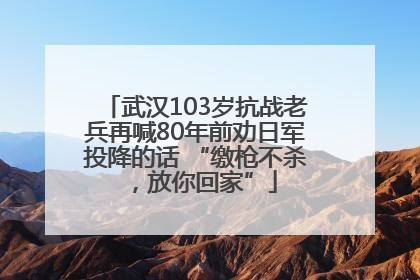武汉103岁抗战老兵再喊80年前劝日军投降的话 “缴枪不杀，放你回家”