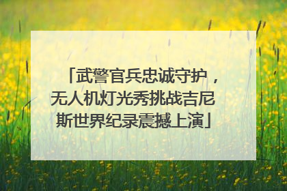 武警官兵忠诚守护，无人机灯光秀挑战吉尼斯世界纪录震撼上演