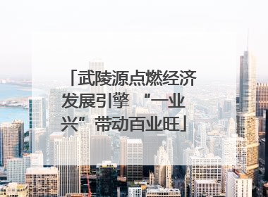 武陵源点燃经济发展引擎 “一业兴”带动百业旺