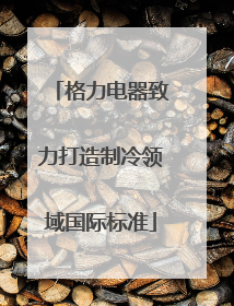 格力电器致力打造制冷领域国际标准