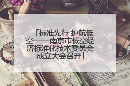 标准先行 护航低空——南京市低空经济标准化技术委员会成立大会召开