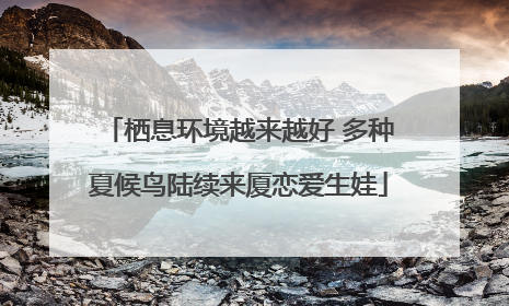 栖息环境越来越好 多种夏候鸟陆续来厦恋爱生娃