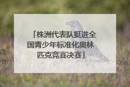 株洲代表队挺进全国青少年标准化奥林匹克竞赛决赛