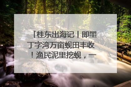 桂东出海记丨即墨丁字湾万亩蚬田丰收！渔民泥里挖蚬，一天上岸过千斤