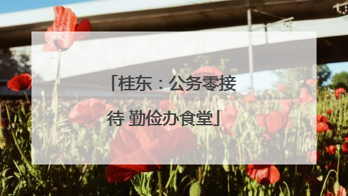 桂东：公务零接待 勤俭办食堂