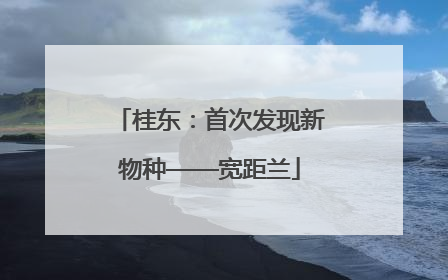 桂东：首次发现新物种——宽距兰