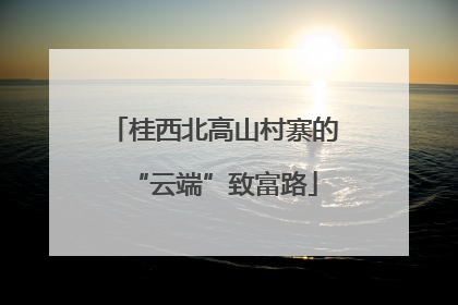 桂西北高山村寨的“云端”致富路