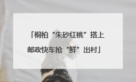 桐柏“朱砂红桃”搭上邮政快车抢“鲜”出村