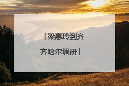 梁惠玲到齐齐哈尔调研