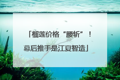 榴莲价格“腰斩”！幕后推手是江夏智造