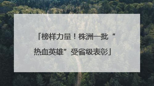 榜样力量！株洲一批“热血英雄”受省级表彰