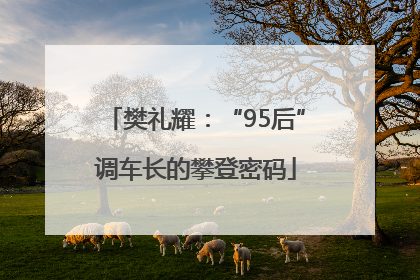 樊礼耀：“95后”调车长的攀登密码