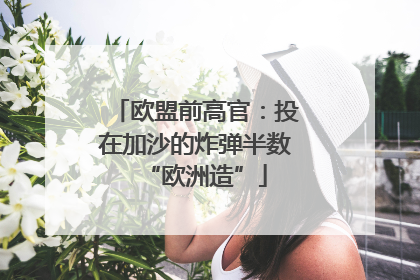 欧盟前高官：投在加沙的炸弹半数“欧洲造”