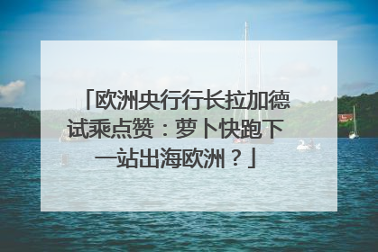 欧洲央行行长拉加德试乘点赞：萝卜快跑下一站出海欧洲？
